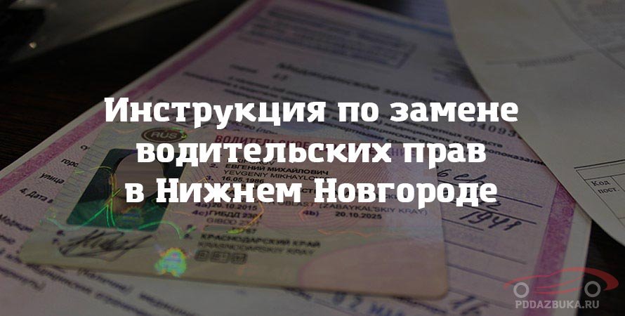 Инструкция по замене водительских прав в Нижнем Новгороде