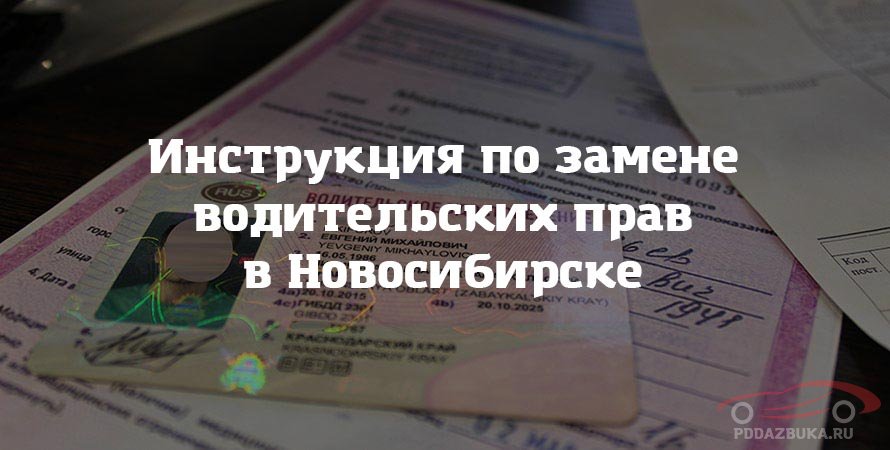 Инструкция по замене водительских прав в Новосибирске